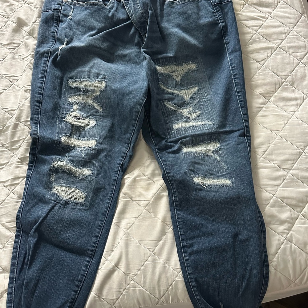 Torrid Premium Stretch Blue Jeans